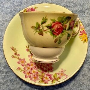 Bone China Cup and Saucer